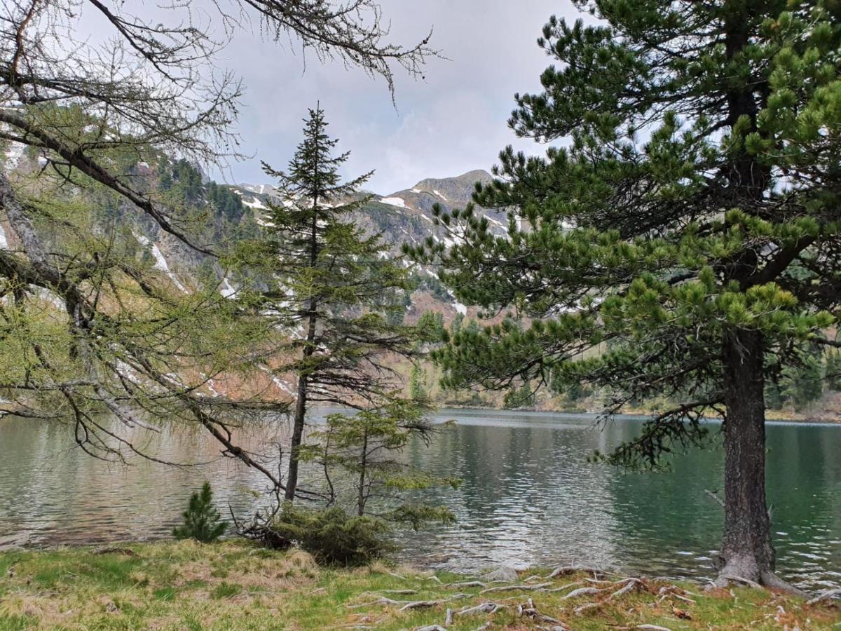 Grassegger Appartementhaus Sankt Johann am Tauern Exteriör bild