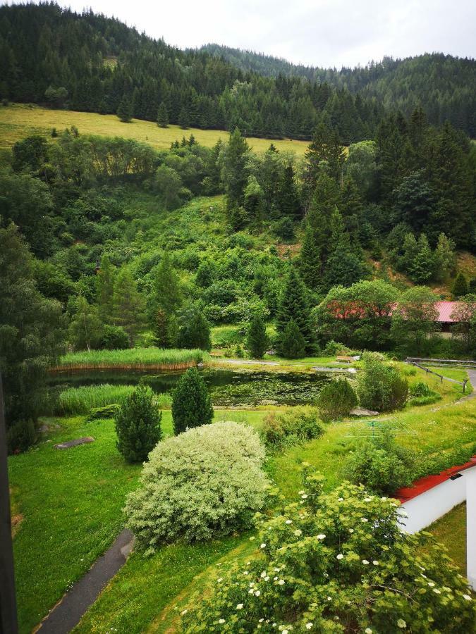 Grassegger Appartementhaus Sankt Johann am Tauern Exteriör bild